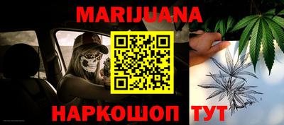 Альфа ПВП Обь