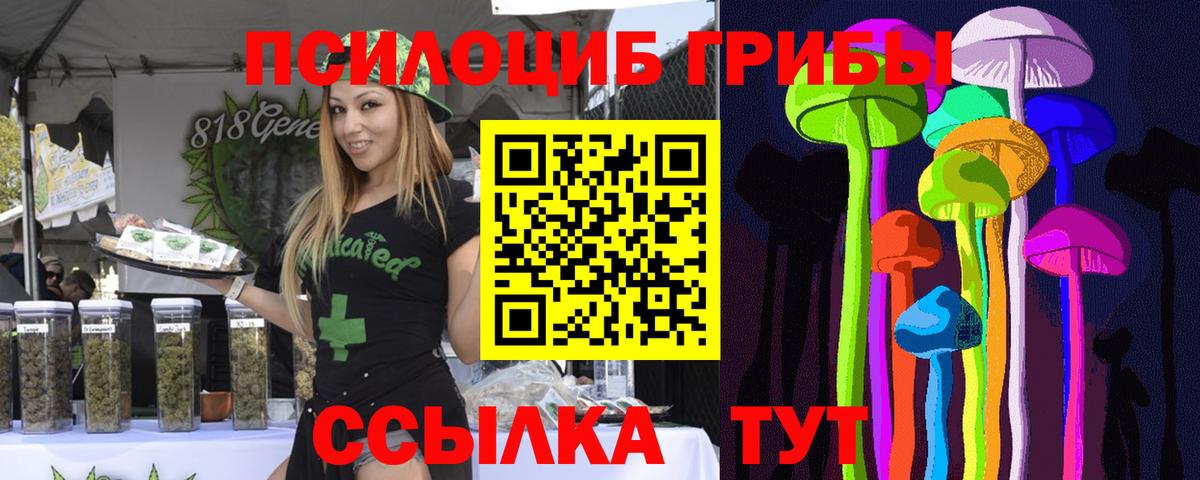 Псилоцибиновые грибы Cubensis Сургут